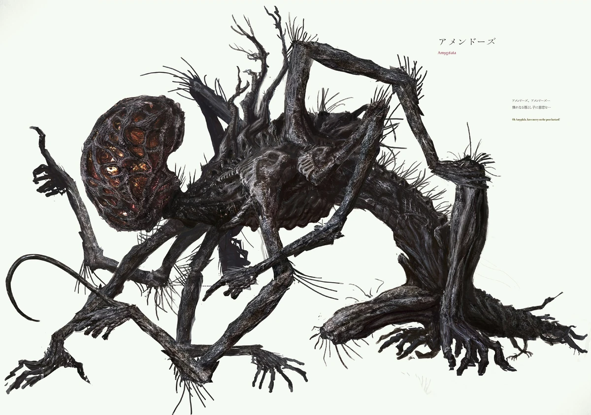 Amygdala