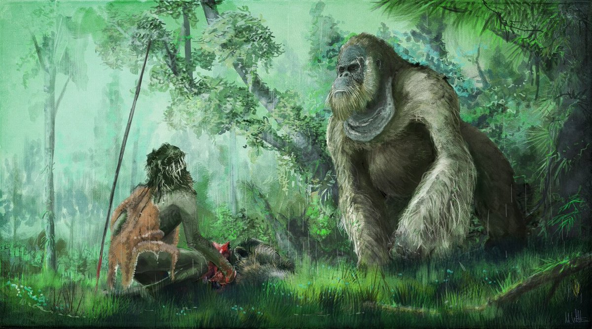 Gigantopithecus