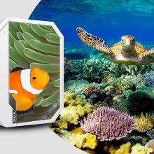 مجموعه صدای موجودات دریایی (آب زیست)