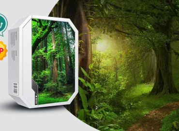 دانلود صدای محیطی جنگل انبوه آمازون