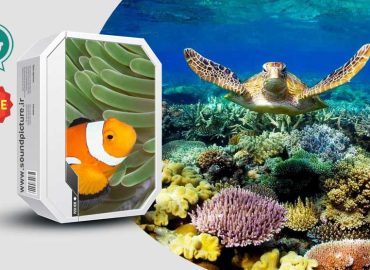 مجموعه صدای موجودات دریایی (آب زیست)