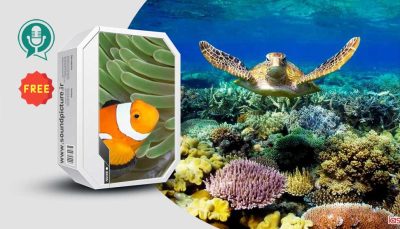 مجموعه صدای موجودات دریایی (آب زیست)